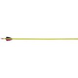 Martin Archery Youth Arrows 1 Dozen 5-16 Select Unspined 24 inch long