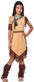 California Costumes Native American Princess Child Costume, Brown, Medium