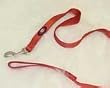 Hamilton EARTH SERIES Deluxe 6' x 1" S/T Nylon Dog Lead, Red Brick
