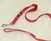 Nylon Lead With Swivel Snap, 1" x 6' Redbrick