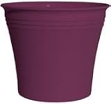 Rush Creek Designs PIM2021014325 Aspen Planter, Purple