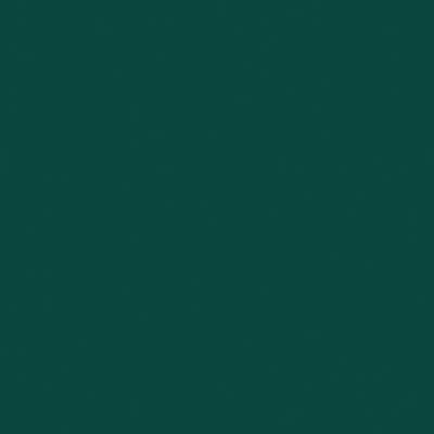 Hanes 6.1 oz. Beefy-T with Pocket>M DEEP FOREST 5190P