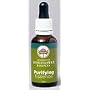 Australian Bush Flower Essences - Purifying - 30 ml Combination Essences