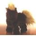 Webkinz LIL' KINZ HORSE