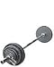 Olympic 300 lb Weight Set Grey Wide Lip easy carry