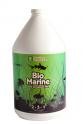 BioMarine 6 gal