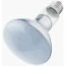 WESTINGHOUSE LIGHTING CORP #36402 75W Plant Speciality Bulb