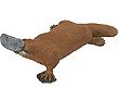 Platypus