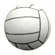 Volleyball Antenna Ball Topper