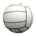 Volleyball Antenna Ball Topper