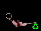 Eco Friendly 4 Inch Curved Bamboo Skewer