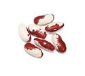 JACOBS CATTLE / TROUT, 12oz Bag