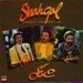 Shahrokh-Shahgol