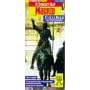 Madrid Insight Fleximap (Insight Flexi Maps)
