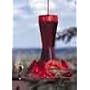 Perky Pet 203CP Pinch Waist Glass Hummingbird Feeder, 8 oz capacity