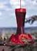  : Perky Pet 203CP Pinch Waist Glass Hummingbird Feeder, 8 oz capacity