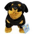 Webkinz Rottweiler with Trading Cards