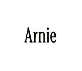 Clearly Charming Name Arnie RED HEART Laser Italian Charm Link