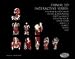Primal Interactive 9 volume DVD Set