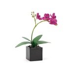 Torre & Tagus Orchid Potted Single Stem 16-Inch, Purple