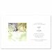 Rose Garden Wedding Invitations