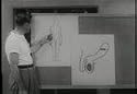Vintage 1940's-1950's Sex Education Film Library