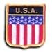 USA - Country Shield Patch