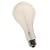 ECT 500-Watt Screwbase Photoflood