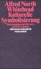 Kulturelle Symbolisierung (suhrkamp taschenbuch wissenschaft)