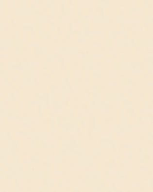 Bevel Edge Laminate Countertop - Champagne