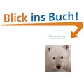 B�renwinter: Eisb�ren in Churchill / Kanada