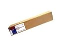 Epson PREMIERART WATER RESISTANT CAN ( SP91222 )