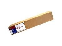 Epson PREMIERART WATER RESISTANT CAN ( SP91222 )