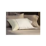 Pacific Pillows 180 Thread Count Standard Pillow Protector by Pacific Pillows
