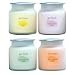 Get Fresh Aromatic Candle