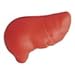 Liver Stress Toy