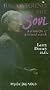 Larry Dossey: Recovering the Soul [VHS]