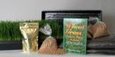 Wheatgrass Growing Kit