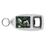 THREE BABY OWLS On TREE Bottle Opener
