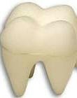 from Goshman 2 Sponge Tooth