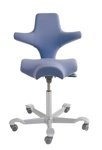 HAG Capisco Chair