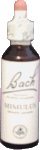 Bach Essence Walnut 20 Milliliters