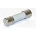 Amprobe FP700 Replacement Fuse for HD110C and HD160C Multimeter, 2Amp/1500V (Pack of 2)