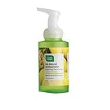 CleanWell Foam Hand Wash Ginger Bergamot