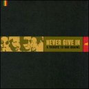 Never Give In: A Tribute to Bad Brains