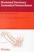 Illustrated Veterinary Anatomical Nomenclature Latin-English