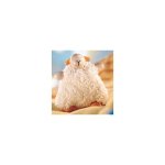 Hugging Sheep