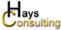 haysconsulting