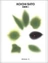 佐藤晃一 ggg Books 13（スリージーブックス　世界のグラフィックデザインシリーズ13）