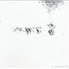 Image of album by The Seconds